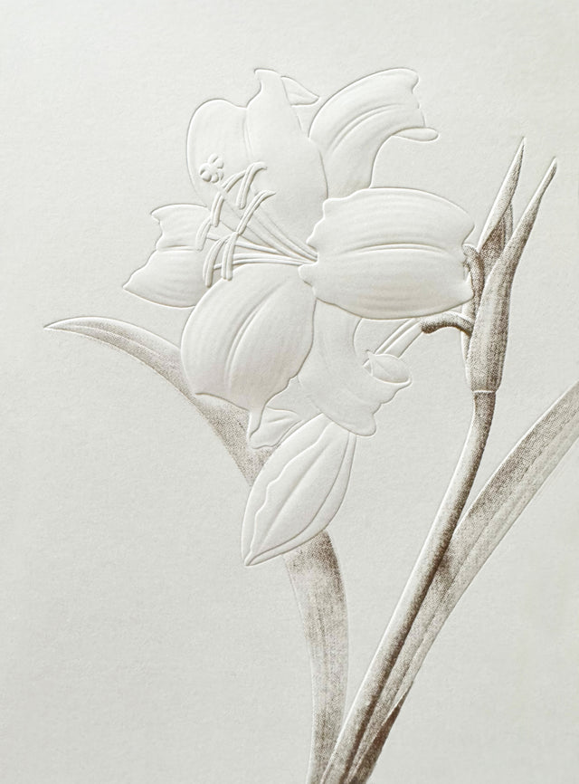 Greeting Card, White Flower Embossed - (Blank)