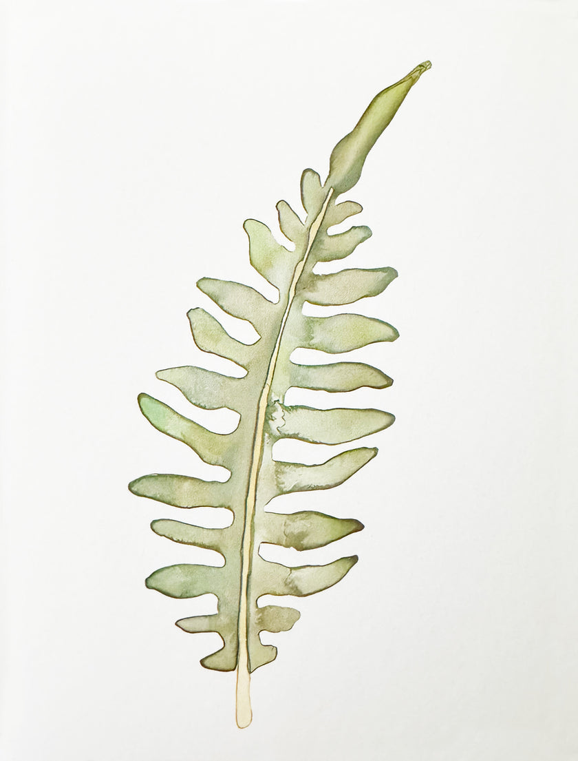 Greeting Card, Foliage - (Blank)