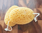 Accessoire - Éponge de bain Konjac, nid d'abeille