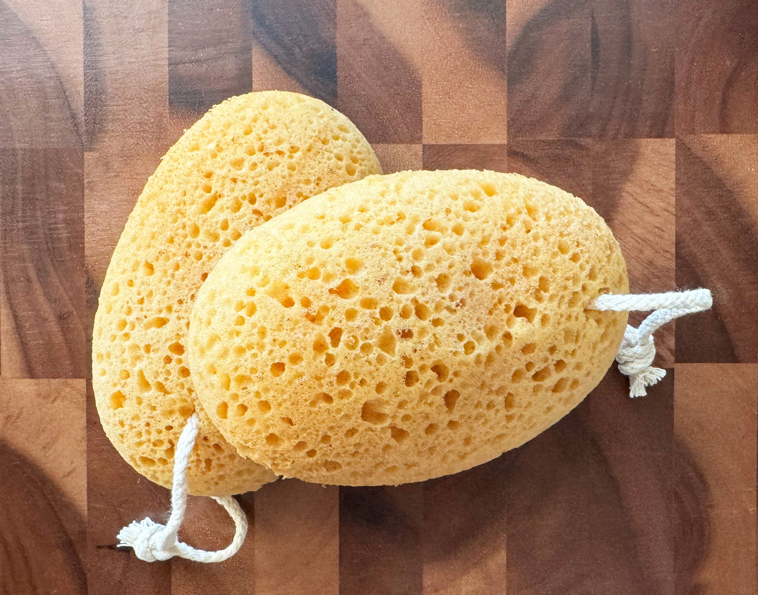 Accessoire - Éponge de bain Konjac, nid d'abeille