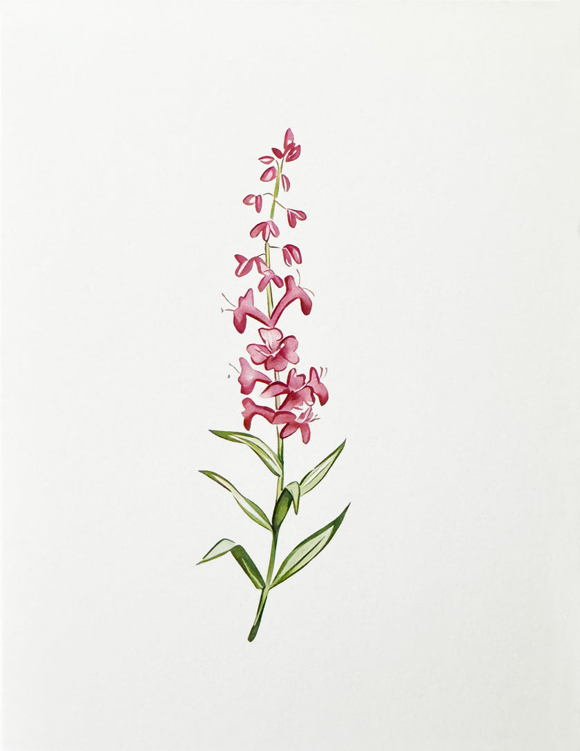 Greeting Card, Wild Flowers - (Blank)