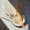 100% Natural Bamboo; and Bamboo & Charcoal Incense Sticks (Premium Essential Oils), 6-pack, 10