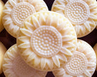 Laundry Stain Remover Bar -  Sunny Flowers